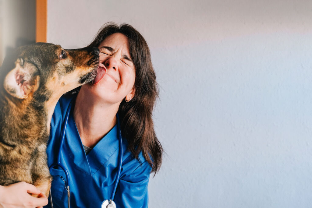 Veterinarian, Happy stray dog licking vet woman doctor face inside private hospital